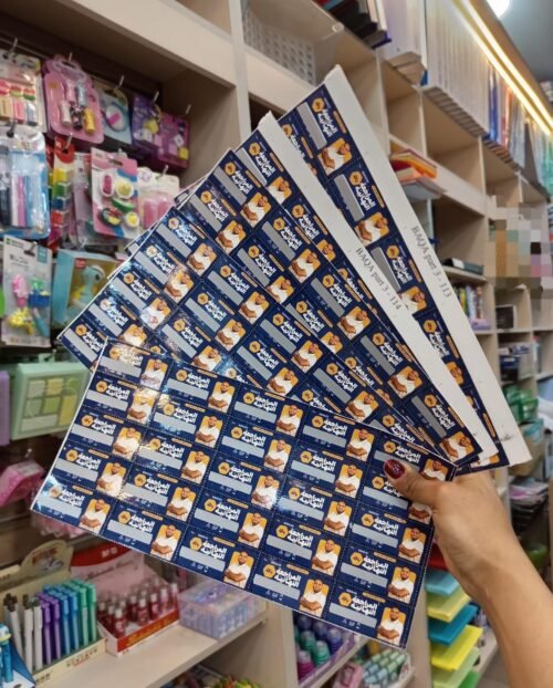 WhatsApp Image 2026-03-30 at 8.13.17 PM